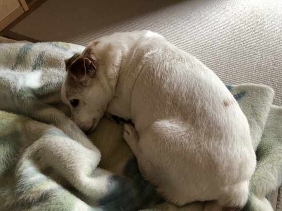 e0106372_08135355.jpeg