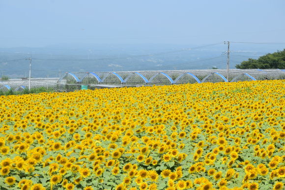 b0242873_23574837.jpg