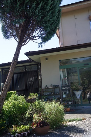 d0179679_14093428.jpg