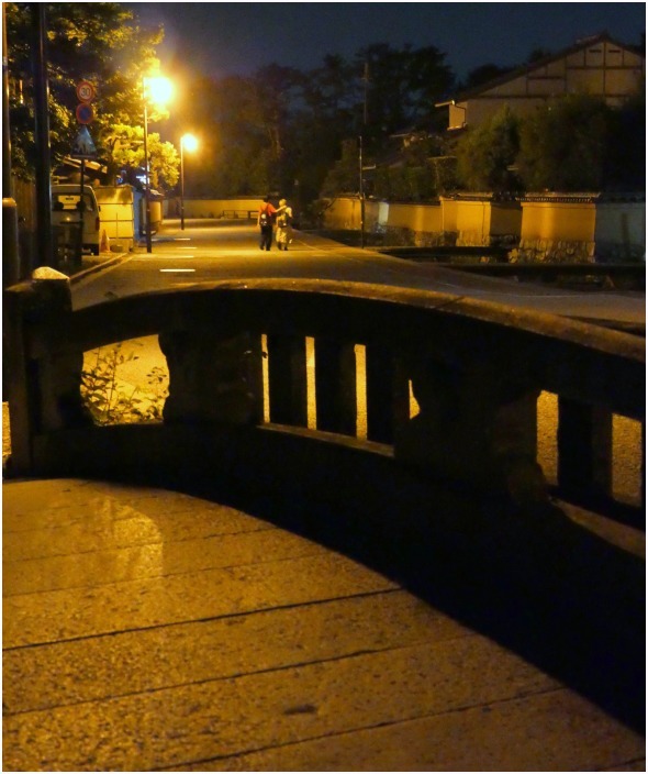 < 夜景・上賀茂神社界隈 >_c0036080_18325819.jpg