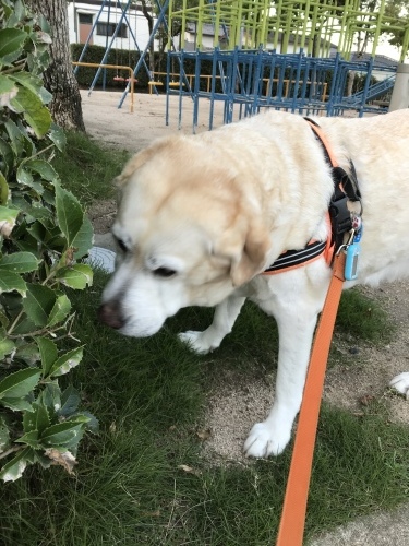 f0315081_22020726.jpeg