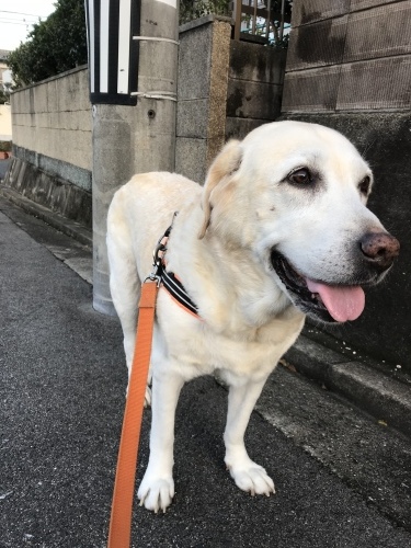 f0315081_22025748.jpeg