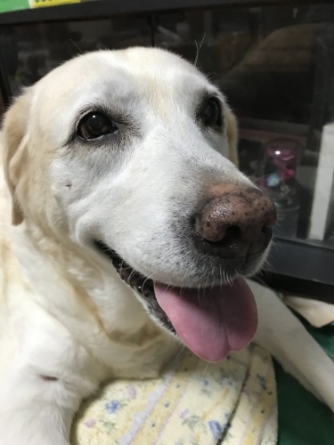 f0315081_22051717.jpeg