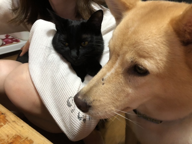 b0377882_18450946.jpeg