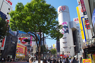 b0056983_13132001.jpg