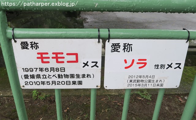 2018年9月 熊本市動植物園 その1 クラッグとミミカに再会_a0052986_728465.jpg