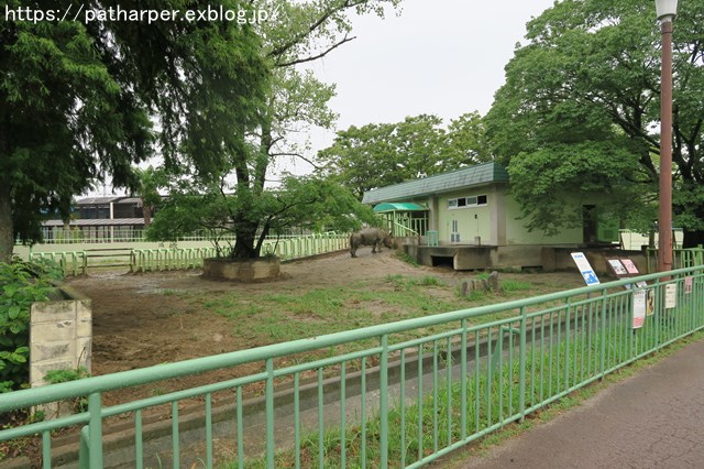 2018年9月 熊本市動植物園 その1 クラッグとミミカに再会_a0052986_7301042.jpg