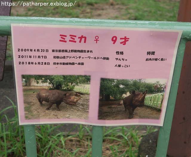 2018年9月 熊本市動植物園 その1 クラッグとミミカに再会_a0052986_7371516.jpg