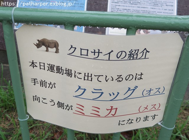 2018年9月 熊本市動植物園 その1 クラッグとミミカに再会_a0052986_74084.jpg