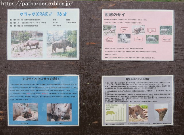 2018年9月 熊本市動植物園 その1 クラッグとミミカに再会_a0052986_749319.jpg