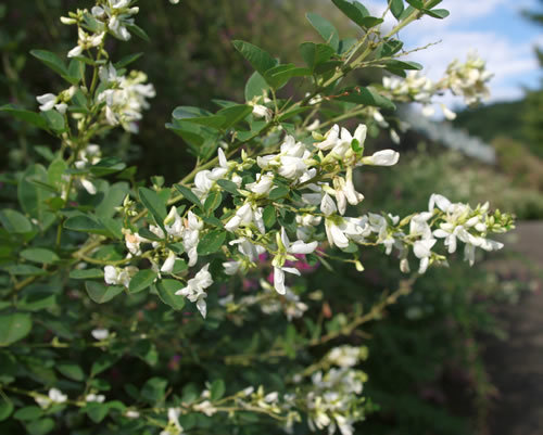b0123486_07544407.jpg