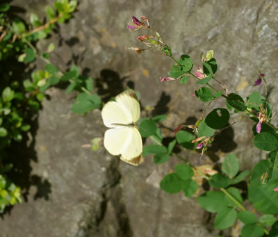 b0123486_14400415.jpg