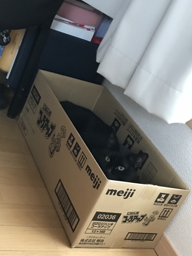 c0340786_20102178.jpeg