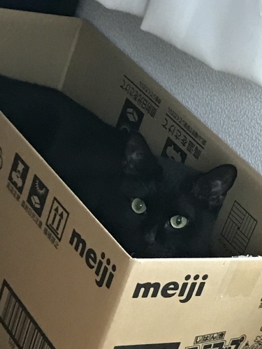 c0340786_20104860.jpeg