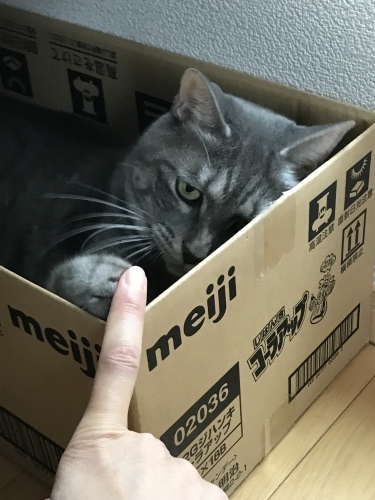 c0340786_20123699.jpeg