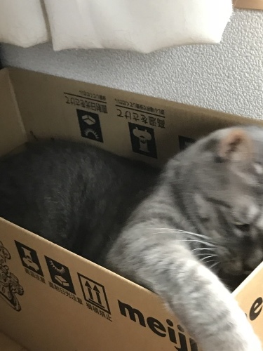 c0340786_20124867.jpeg