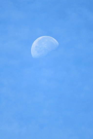 d0183387_09364756.jpg
