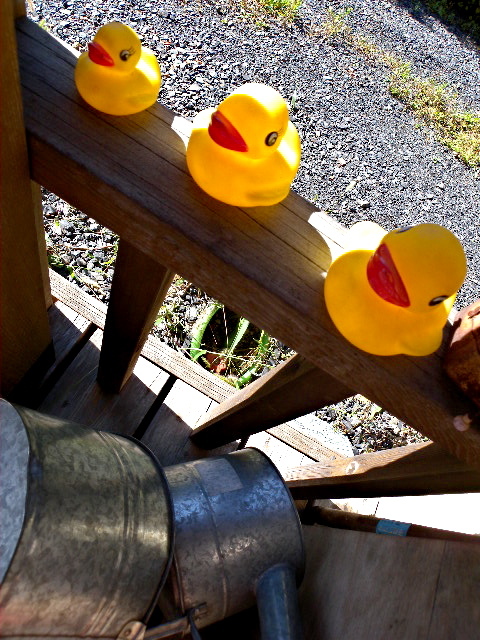 a0199297_20075653.jpg