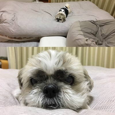 台風一過と王子の病院デー。_f0372998_21444860.jpg
