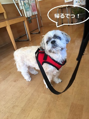 台風一過と王子の病院デー。_f0372998_21455771.jpg