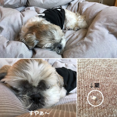 台風一過と王子の病院デー。_f0372998_21460488.jpg