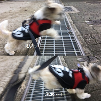 台風一過と王子の病院デー。_f0372998_21461255.jpg