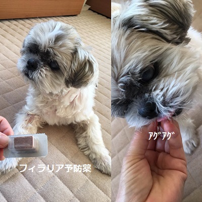 台風一過と王子の病院デー。_f0372998_21461826.jpg