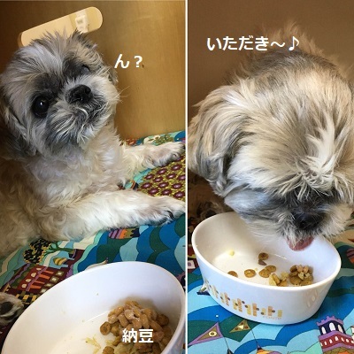 台風一過と王子の病院デー。_f0372998_21462505.jpg