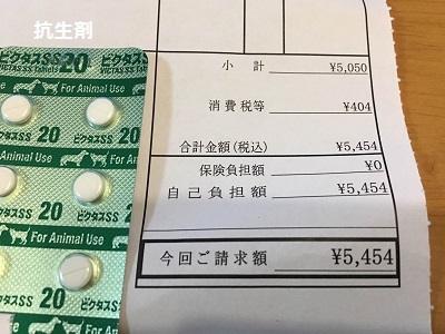 台風一過と王子の病院デー。_f0372998_21464920.jpg