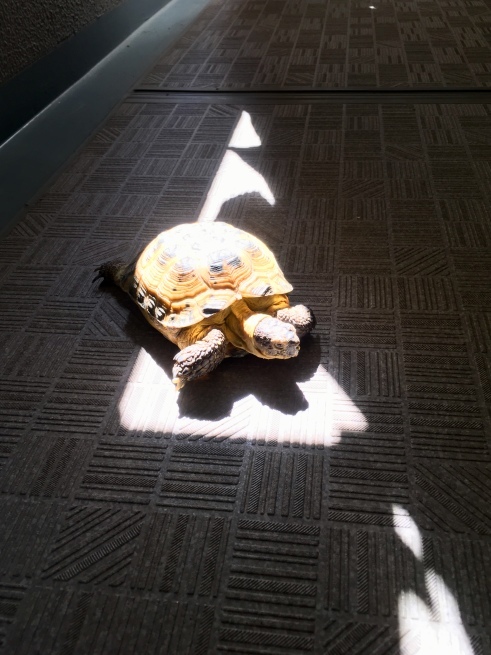 c0362401_20590415.jpg