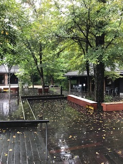 e0149301_17545108.jpg