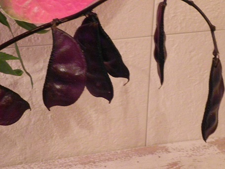 c0152002_08541743.jpg