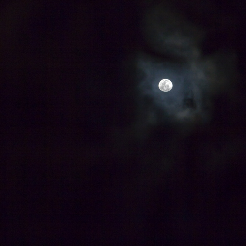 c0367403_10490937.jpg