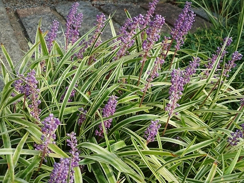 e0289203_10025512.jpg