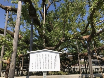 京都　西本願寺へ誘われ_a0346704_20285164.jpg