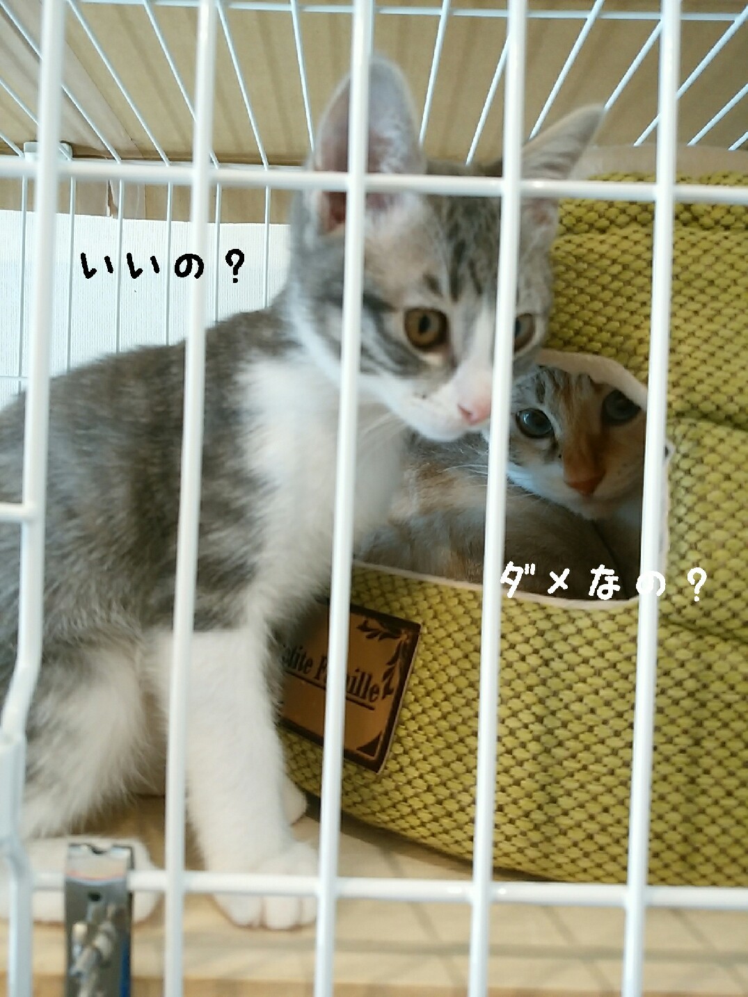 f0255704_16441936.jpg