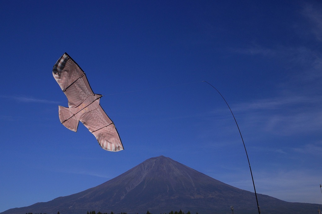 a0188405_18061795.jpg