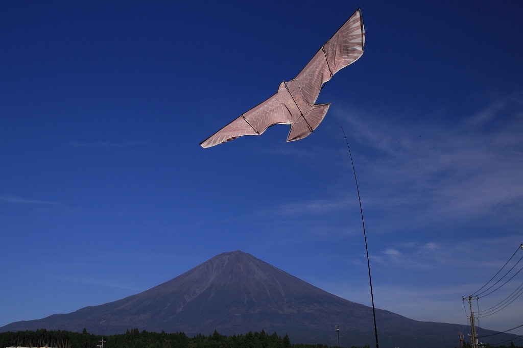 コンドルが飛んでいく～_a0188405_18062896.jpg