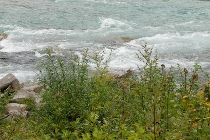 e0396705_15212334.jpg