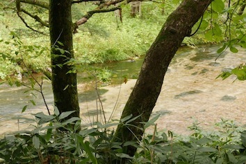 e0396705_15262198.jpg