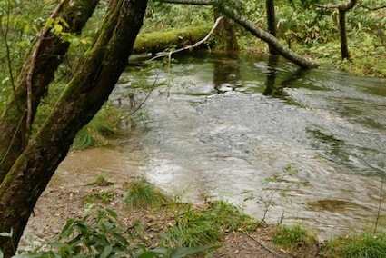 e0396705_15264047.jpg