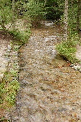 e0396705_15291420.jpg