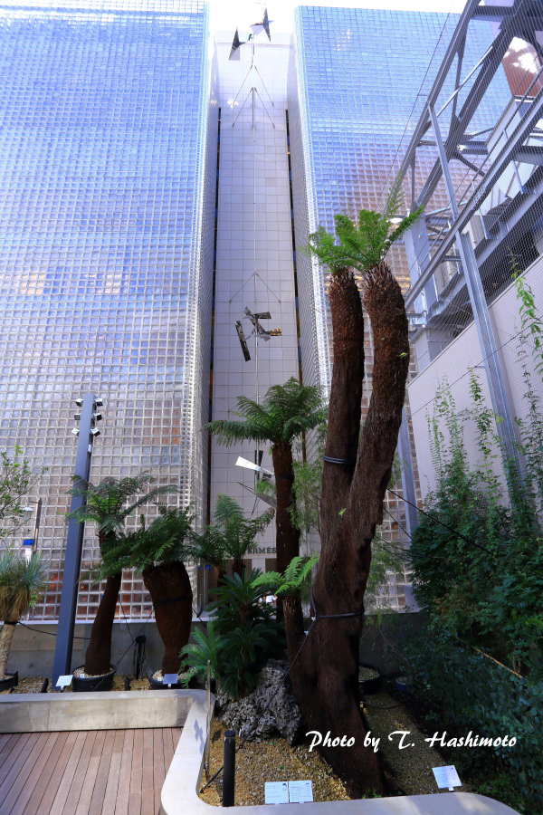 d0334006_22025970.jpg