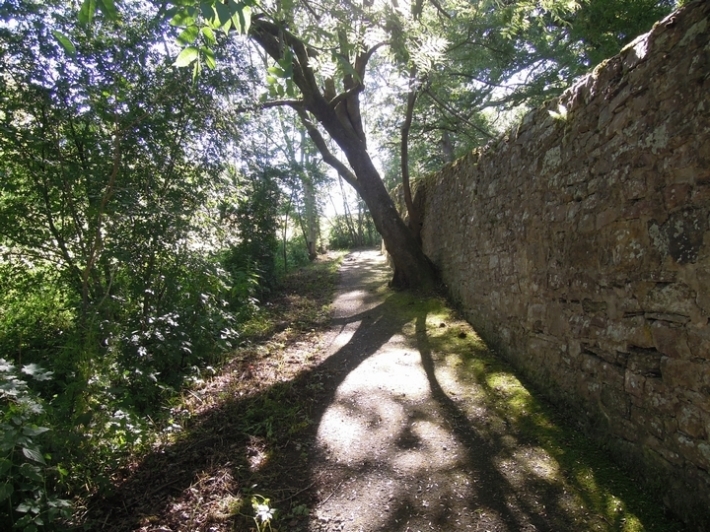 c0149408_15270494.jpg