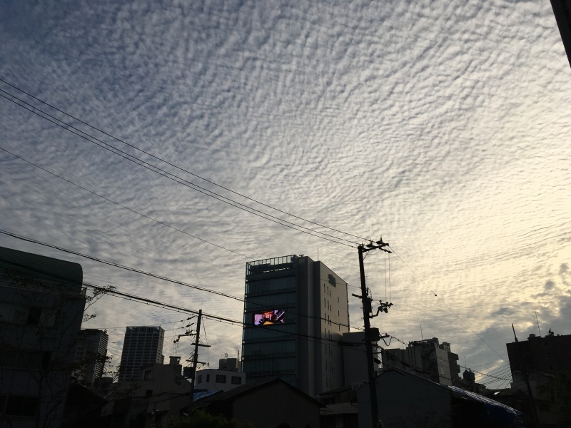 一字違いで大違い NO.603_c0102513_20525410.jpeg