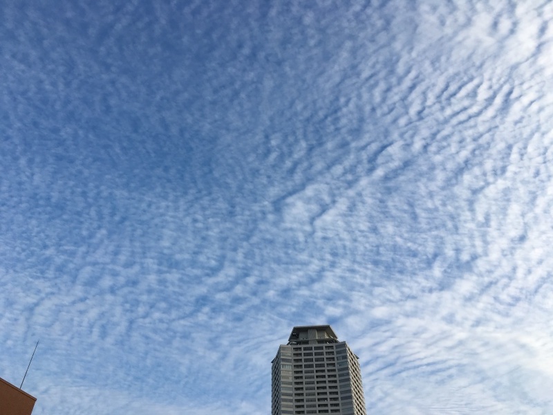 一字違いで大違い NO.603_c0102513_20542288.jpeg