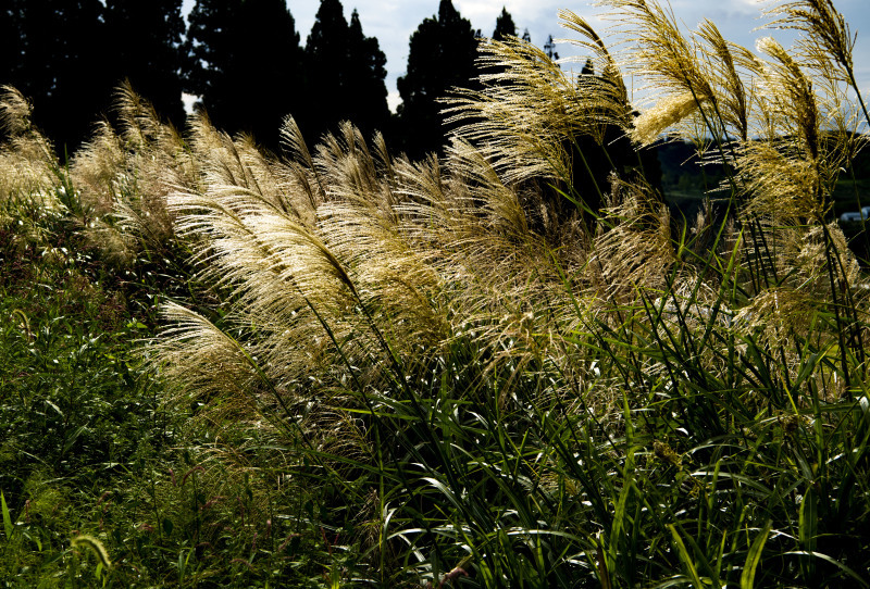 d0370716_04522653.jpg