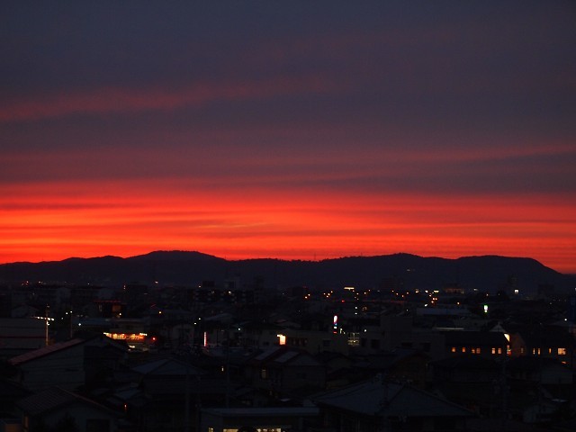 d0295818_21555018.jpg