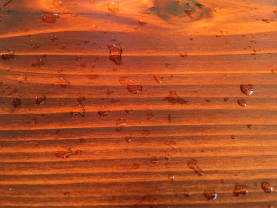 c0212823_08171090.jpg