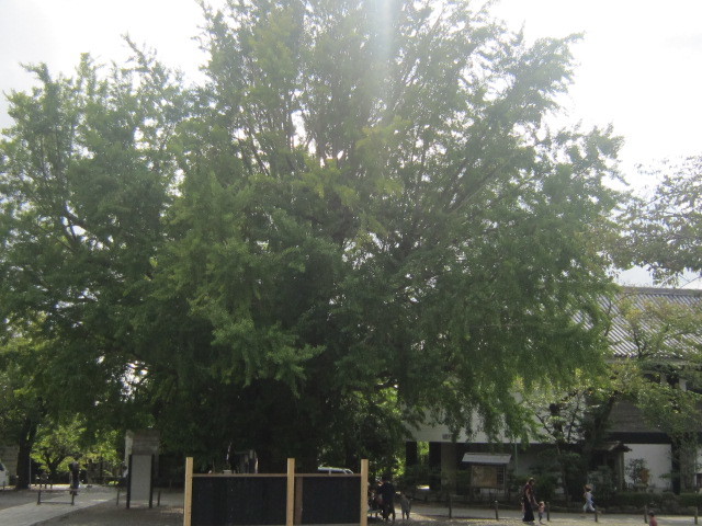 d0162225_23452027.jpg